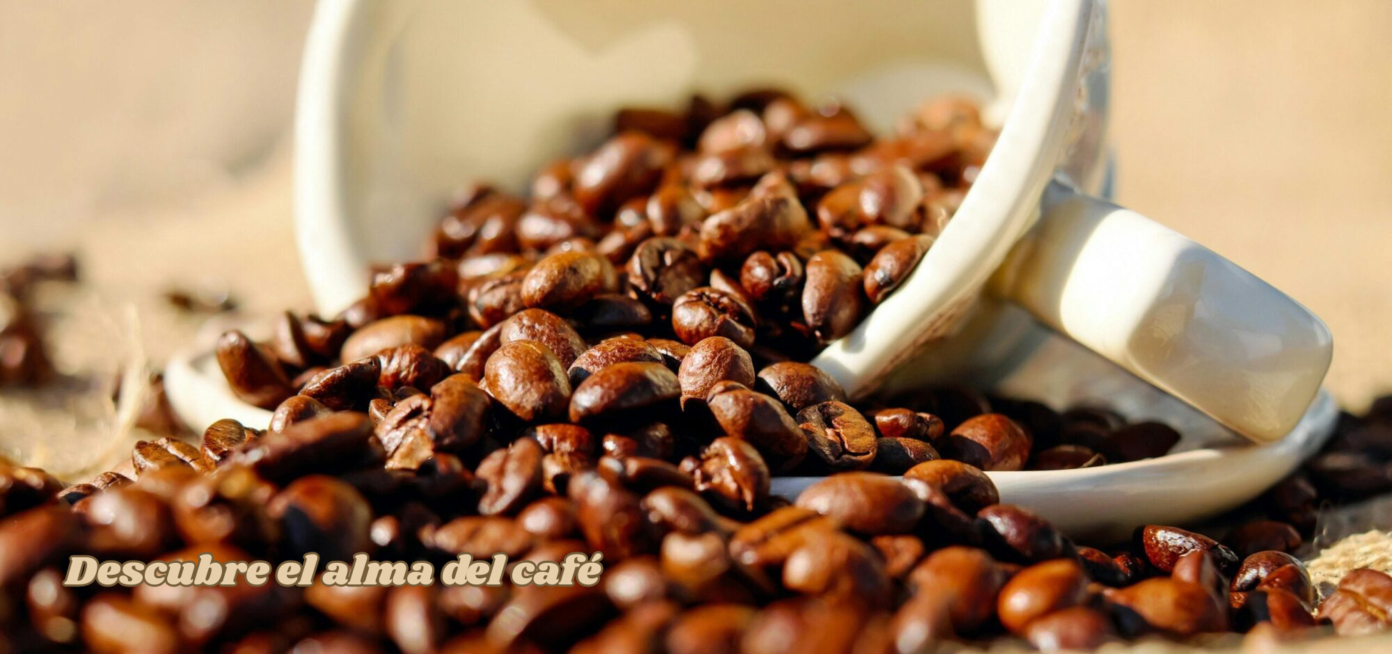 la mejor web de café del mundo